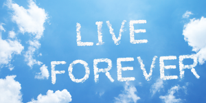 legacy, epitaph, how to create a lasting legacy, living forever in hearts, create your legacy, leave your mark, how do you want to be remembered, Frank Sonnenberg
